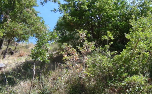 Appartamento più terreno a Vaccarizzo