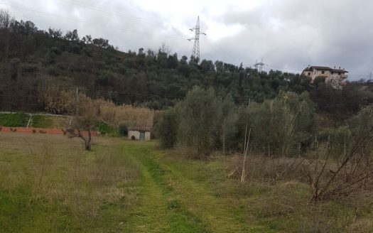 Vendesi terreno agricolo con vigneto