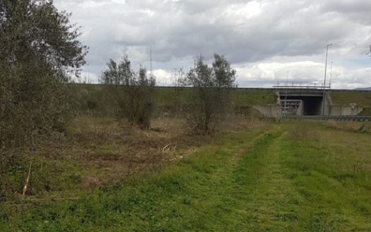 Vendesi terreno agricolo con vigneto