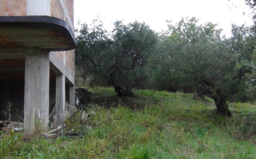 Immobile con Terreno Edificabile