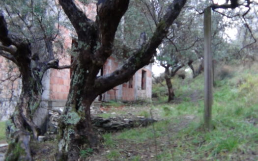 Immobile con Terreno Edificabile