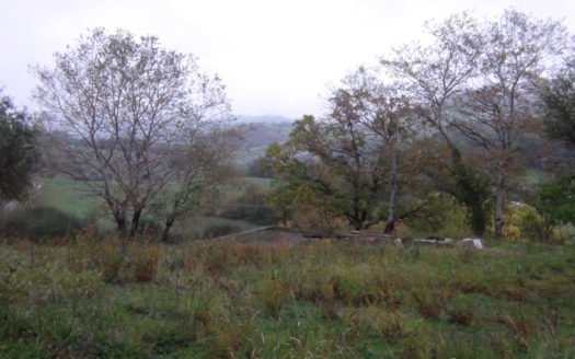 Immobile con Terreno Edificabile