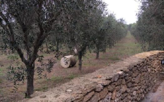 10 bedroom country house for sale Italy – Apulia, Lecce, Squinzano €1,500,000 	  10 camere da letto casa di campagna in vendita Italia – Puglia, Lecce, Squinzano € 1.500.000