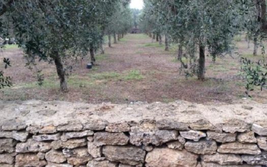 10 bedroom country house for sale Italy – Apulia, Lecce, Squinzano €1,500,000 	  10 camere da letto casa di campagna in vendita Italia – Puglia, Lecce, Squinzano € 1.500.000