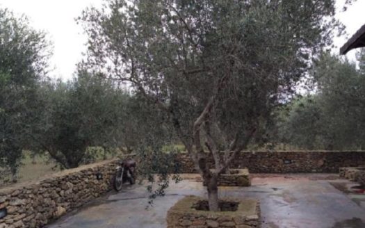 10 bedroom country house for sale Italy – Apulia, Lecce, Squinzano €1,500,000 	  10 camere da letto casa di campagna in vendita Italia – Puglia, Lecce, Squinzano € 1.500.000