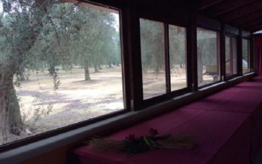 10 bedroom country house for sale Italy – Apulia, Lecce, Squinzano €1,500,000 	  10 camere da letto casa di campagna in vendita Italia – Puglia, Lecce, Squinzano € 1.500.000