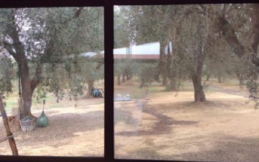 10 bedroom country house for sale Italy – Apulia, Lecce, Squinzano €1,500,000 	  10 camere da letto casa di campagna in vendita Italia – Puglia, Lecce, Squinzano € 1.500.000