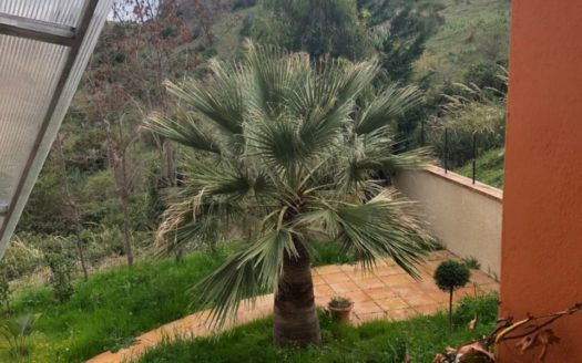 Affittasi Villa Mandatoriccio