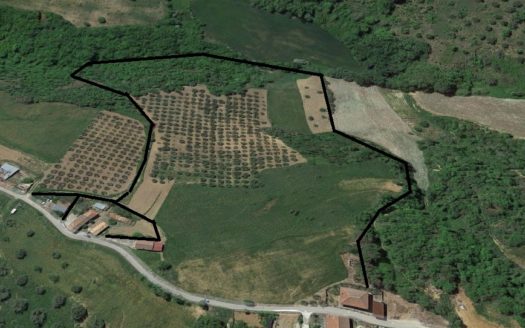 Vendesi Terreno con Bosco a Torano Castello