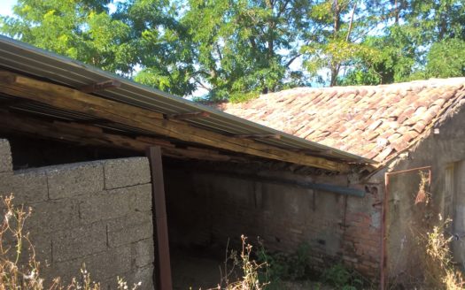 Vendesi Terreno con Bosco a Torano Castello