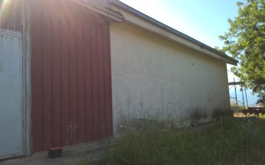 Vendesi Terreno con Bosco a Torano Castello