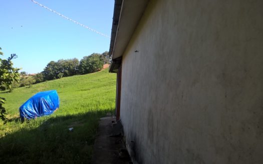 Vendesi Terreno con Bosco a Torano Castello