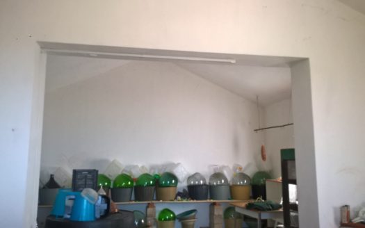 Vendesi Terreno con Bosco a Torano Castello