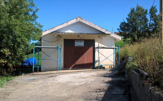 Vendesi Terreno con Bosco a Torano Castello