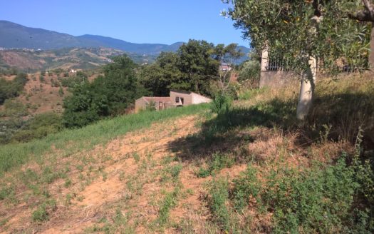 Vendesi Terreno con Bosco a Torano Castello