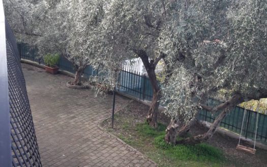 STRUTTURA A CASTIGLIONE