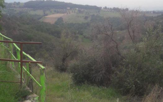 TERRENO AGRICOLO + 2 FABBRICATI