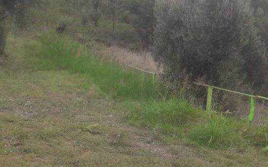 TERRENO AGRICOLO + 2 FABBRICATI