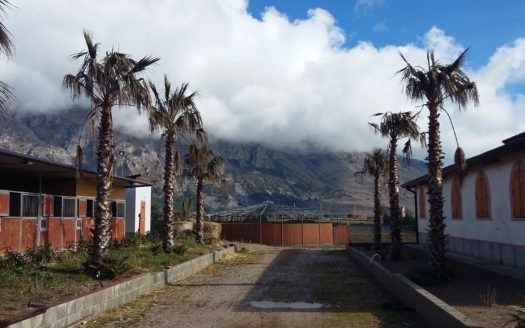 Il Centro Ippico Iannibelli.