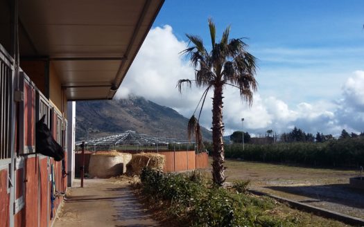 Il Centro Ippico Iannibelli.