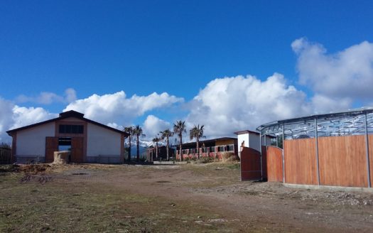 Il Centro Ippico Iannibelli.