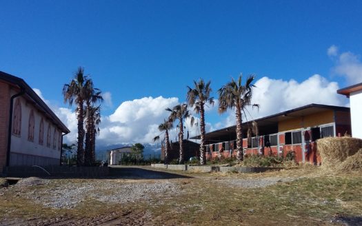 Il Centro Ippico Iannibelli.