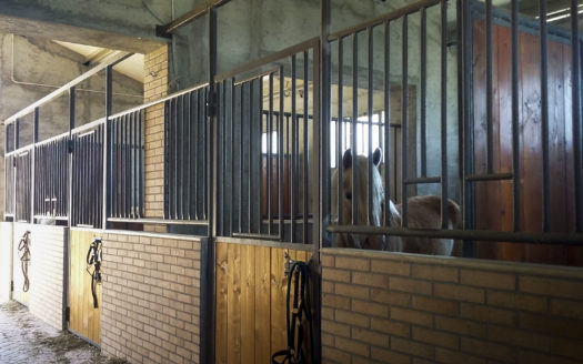 Il Centro Ippico Iannibelli.