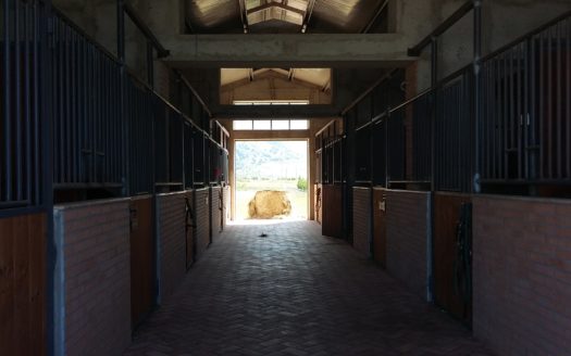 Il Centro Ippico Iannibelli.