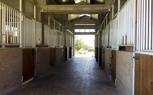 Il Centro Ippico Iannibelli.