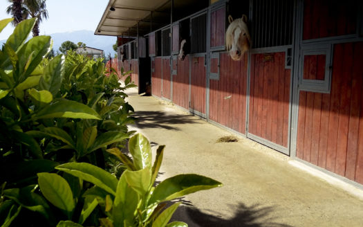 Il Centro Ippico Iannibelli.