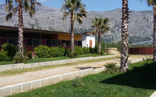 Il Centro Ippico Iannibelli.