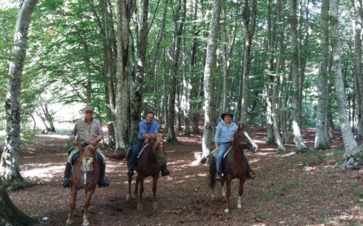 Il Centro Ippico Iannibelli.