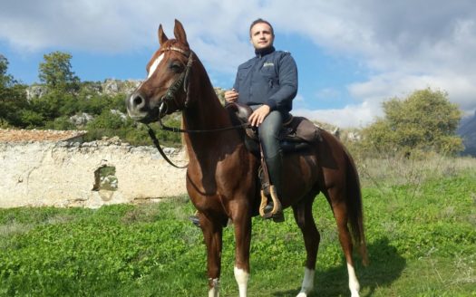 Il Centro Ippico Iannibelli.