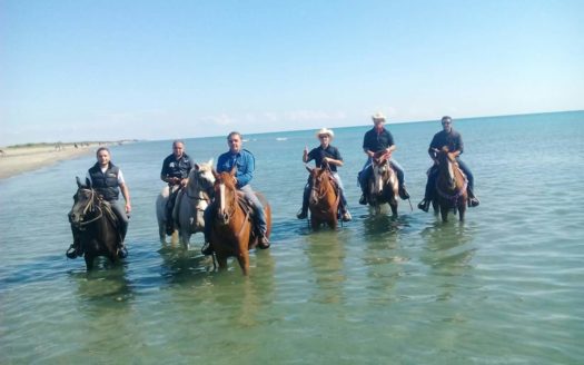 Il Centro Ippico Iannibelli.