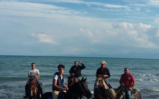 Il Centro Ippico Iannibelli.