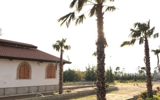 Il Centro Ippico Iannibelli.