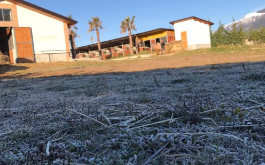 Il Centro Ippico Iannibelli.