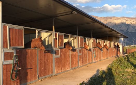 Il Centro Ippico Iannibelli.