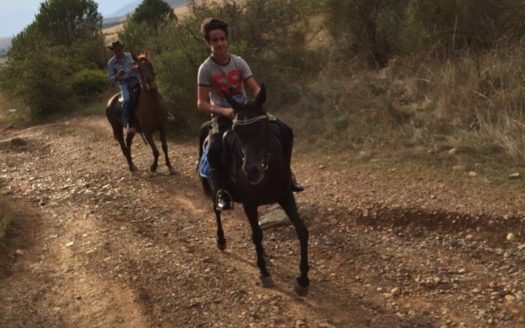 Il Centro Ippico Iannibelli.