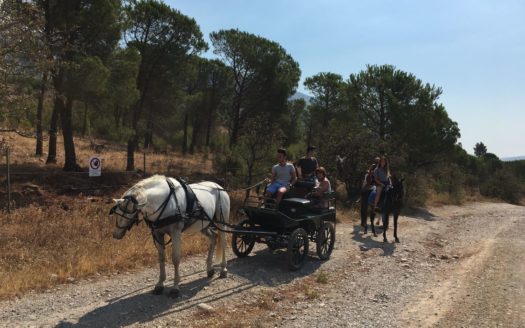 Il Centro Ippico Iannibelli.