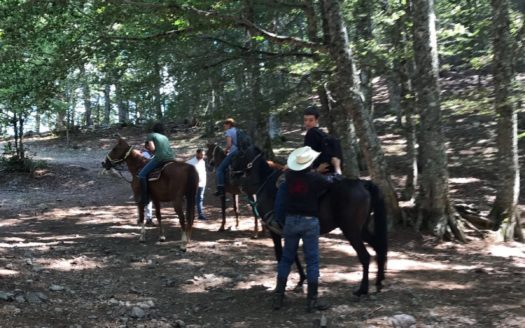 Il Centro Ippico Iannibelli.