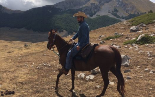 Il Centro Ippico Iannibelli.