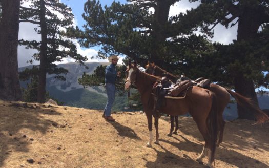 Il Centro Ippico Iannibelli.