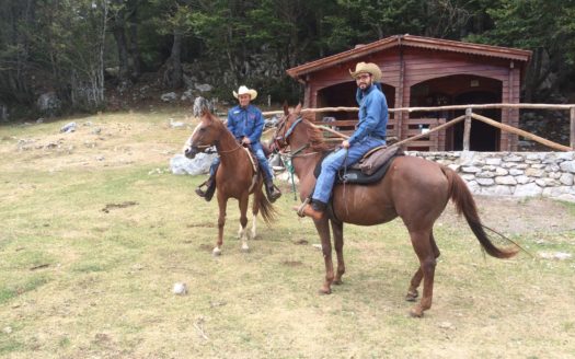 Il Centro Ippico Iannibelli.