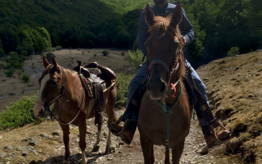 Il Centro Ippico Iannibelli.