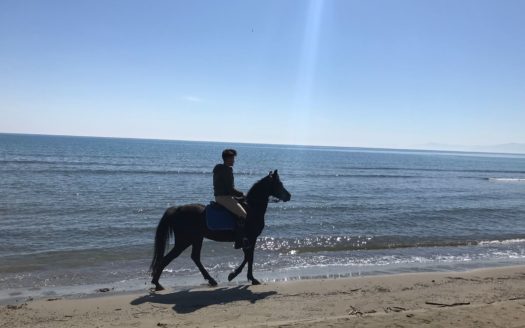 Il Centro Ippico Iannibelli.