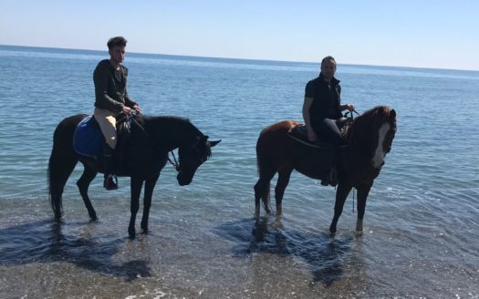 Il Centro Ippico Iannibelli.