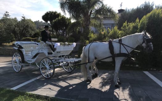 Il Centro Ippico Iannibelli.