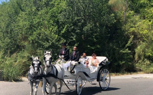 Il Centro Ippico Iannibelli.