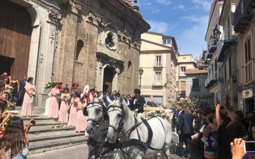 Il Centro Ippico Iannibelli.